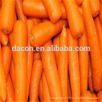 Organische getrocknete Karotten